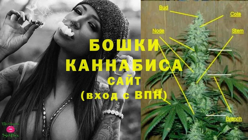 Марихуана SATIVA & INDICA  Абинск 